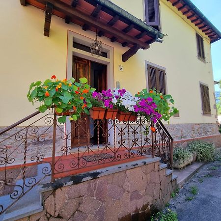 Bed and Breakfast A Collodi Io & Mamma Экстерьер фото