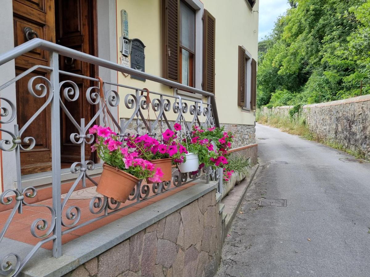 Bed and Breakfast A Collodi Io & Mamma Экстерьер фото